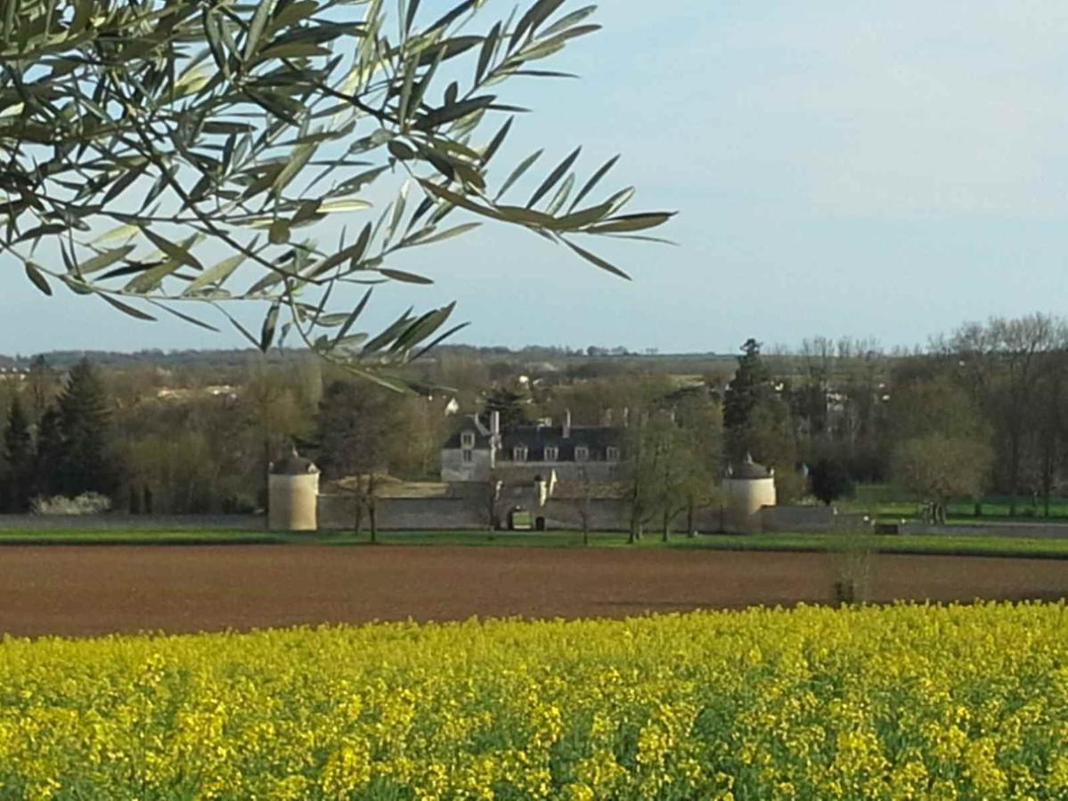 Au Grain D'Orge Villa Echire Eksteriør billede