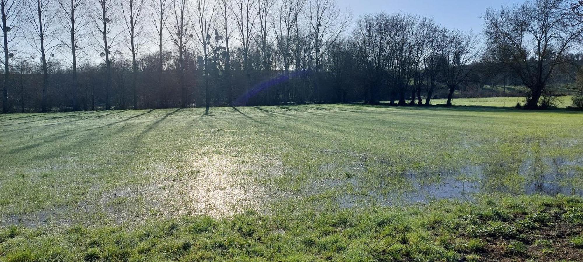 Au Grain D'Orge Villa Echire Eksteriør billede